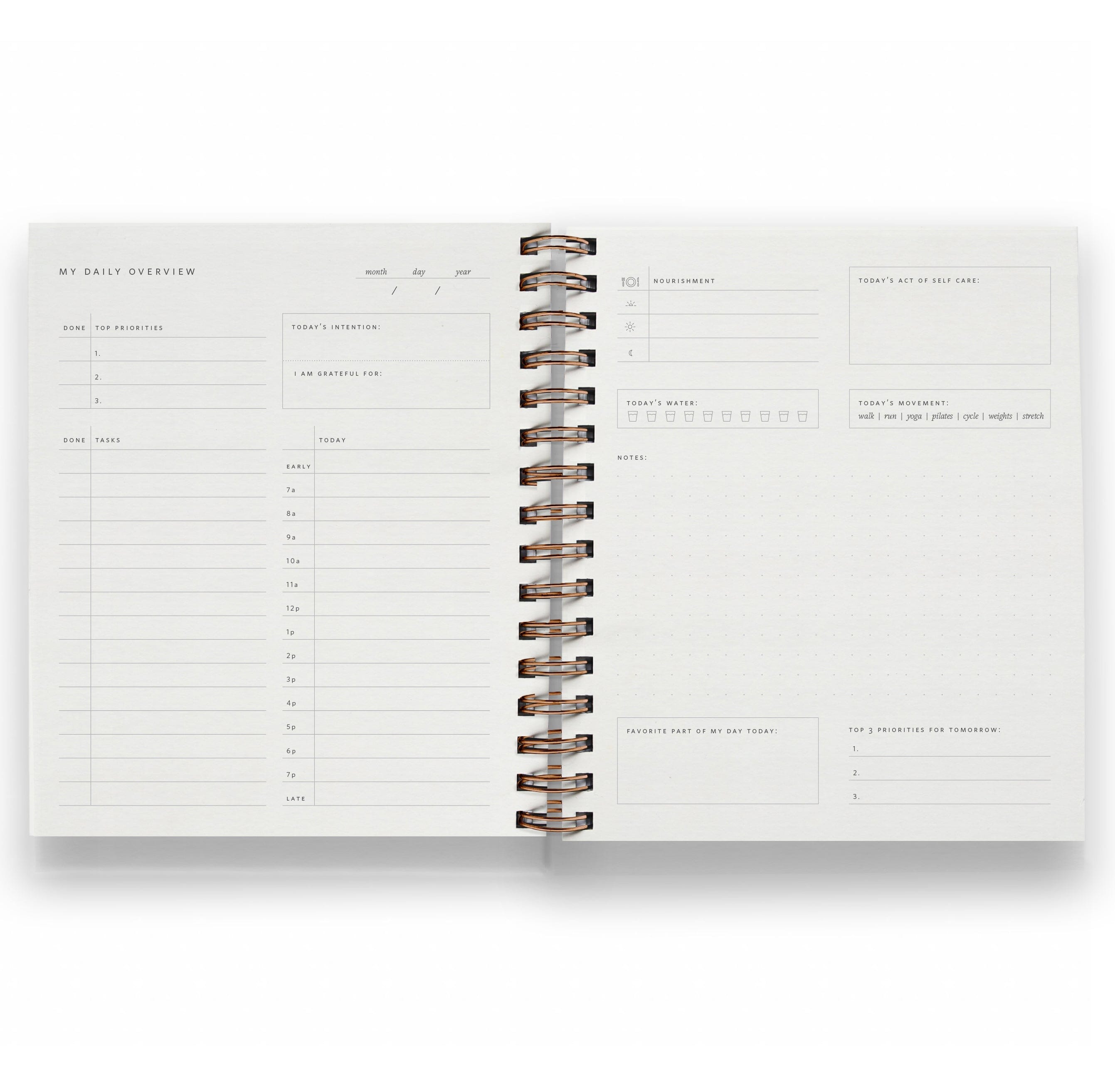 Daily Overview Planner Set in Light Sage - Ramona & Ruth 